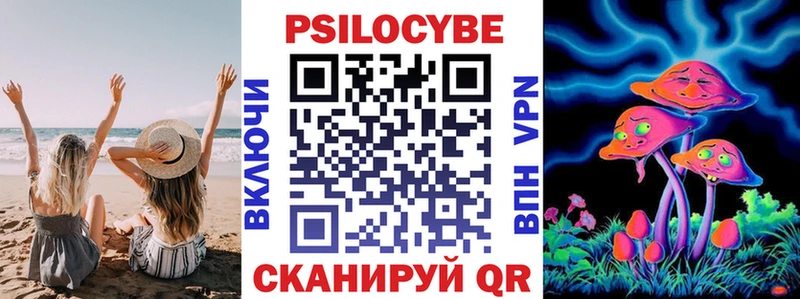 darknet Telegram  Тара  Галлюциногенные грибы Magic Shrooms 