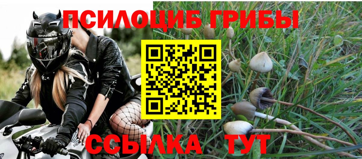 Галлюциногенные грибы ЛСД  Псилоцибиновые грибы мицелий  Вход с VPN  Тара 