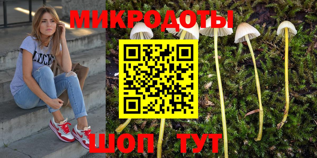 Псилоцибиновые грибы Psilocybine cubensis Тара