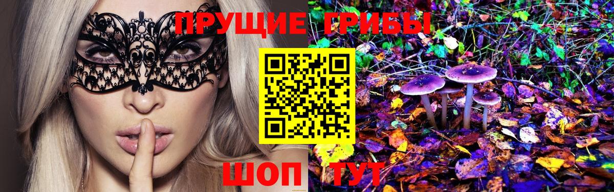 купить   Псилоцибиновые грибы прущие грибы  Вход с VPN  Тара 