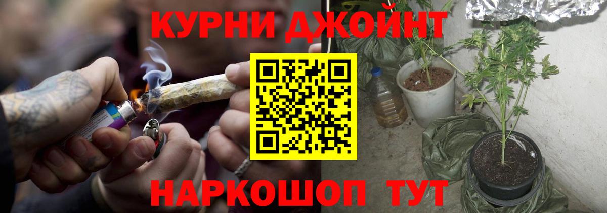 Бошки марихуана семена  Марихуана Bruce Banner  Каннабис гибрид  Тара  Вход с VPN  Бошки марихуана Amnesia 