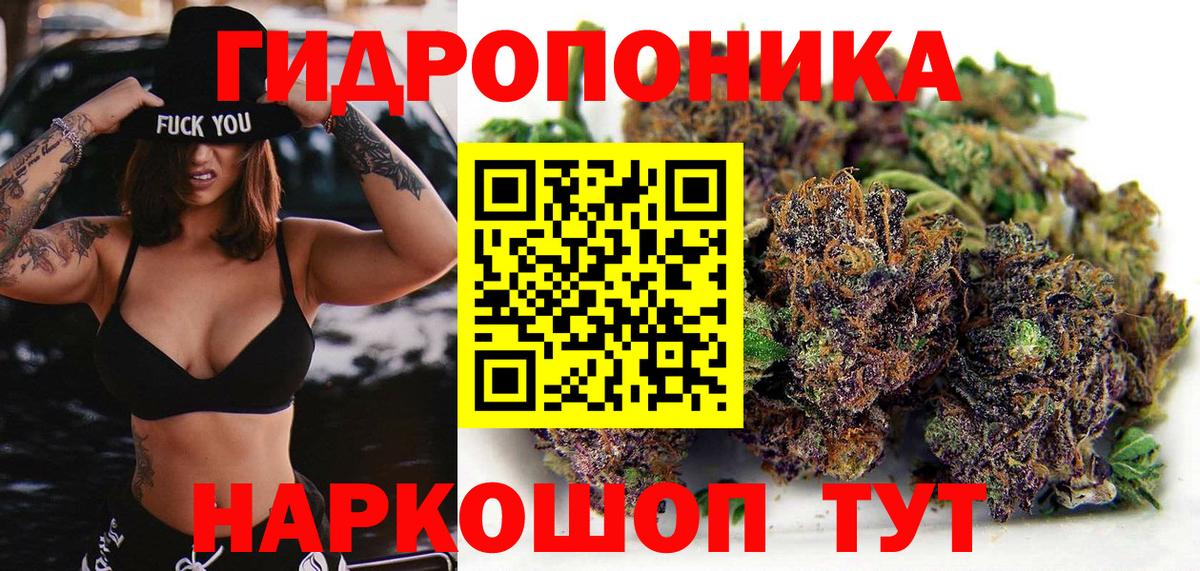Тара  Конопля индика  Вход с VPN  Шишки марихуана индика  Каннабис Amnesia 